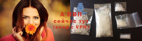 марки nbome Белокуриха