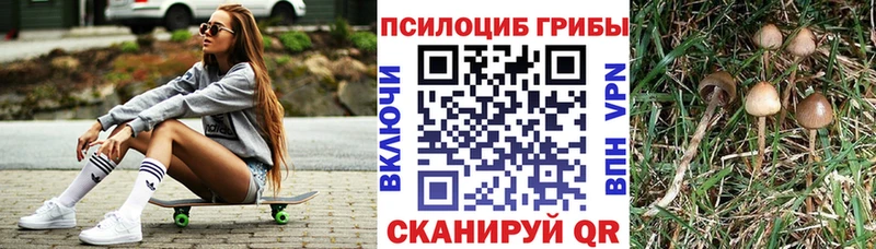 Купить где  Красавино  Галлюциногенные грибы MAGIC MUSHROOMS 